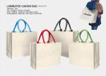 Canvas Bag-M1CL571