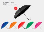 24 Inch Umbrella-M1NY352