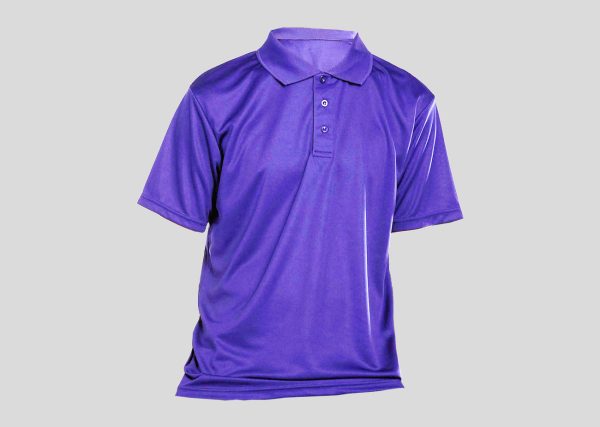 AirTec QuickDry Polo-Microfiber Mini Mesh A4P814 royal blue