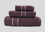 Anti-bacterial Towel_0004_A2MONTEX