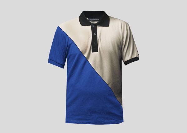 Gildan Georgia Polo_0001_A2NHB3211 Royal_Charcoal