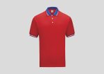 Lacoste Honeycomb Polo A3L2411