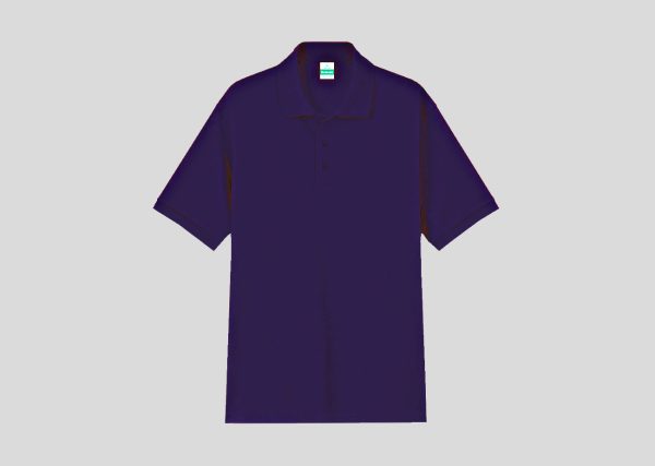 Premium Cotton Lacoste Polo A4P812 royal blue