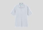 Premium Cotton Lacoste Polo A4P812