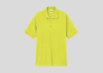 Premium Cotton Lacoste Polo A4P812