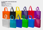 Non-Woven Bag-M6NW31