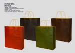 Paper-Bag-M6PR36