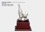 F14 exclusive pewter bowling trophy-01