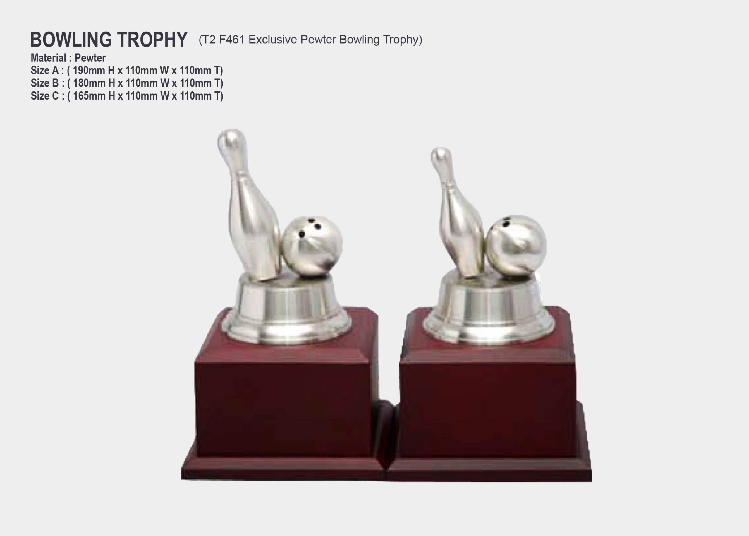 Exclusive Pewter Bowling Trophy