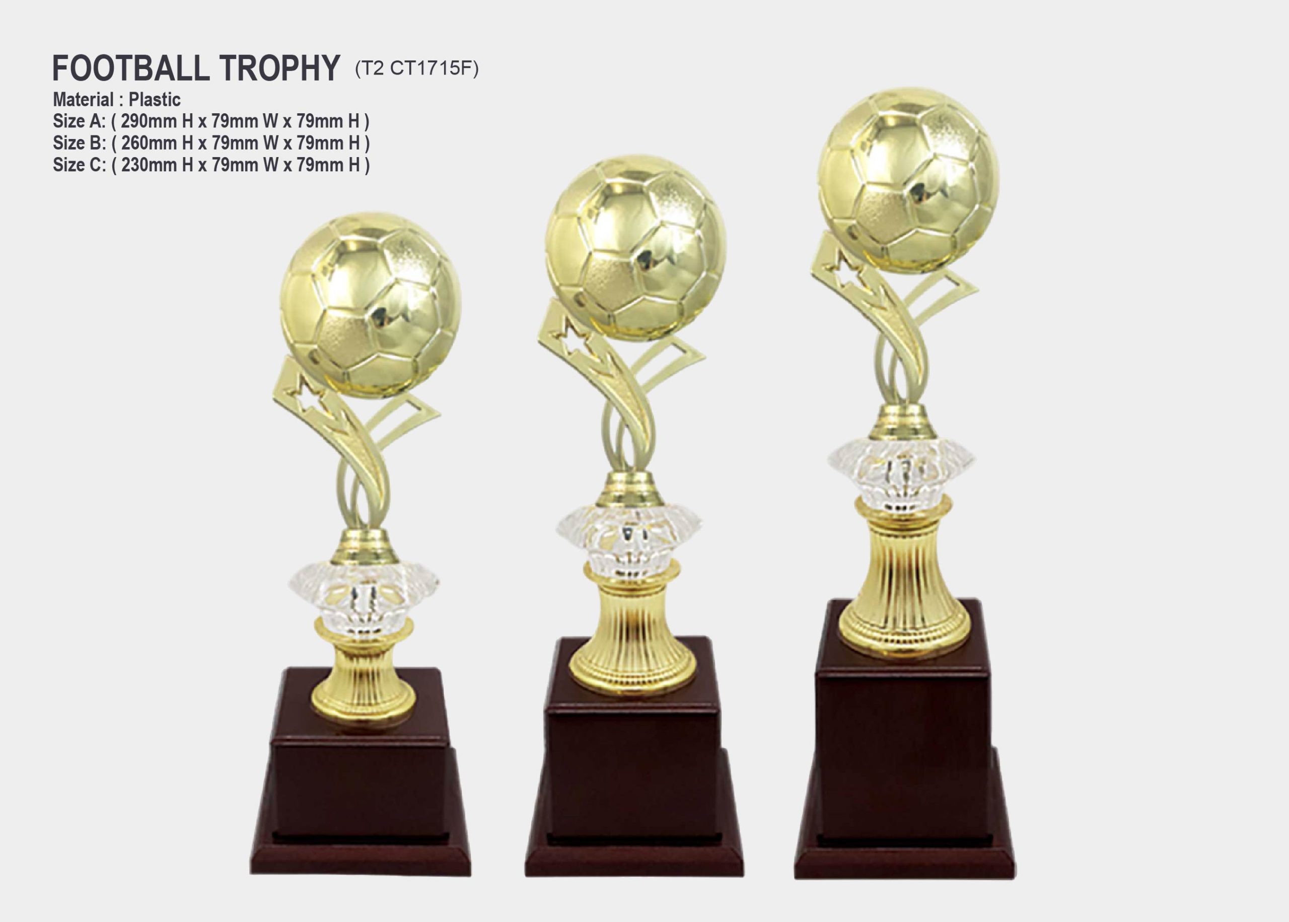 football trophy