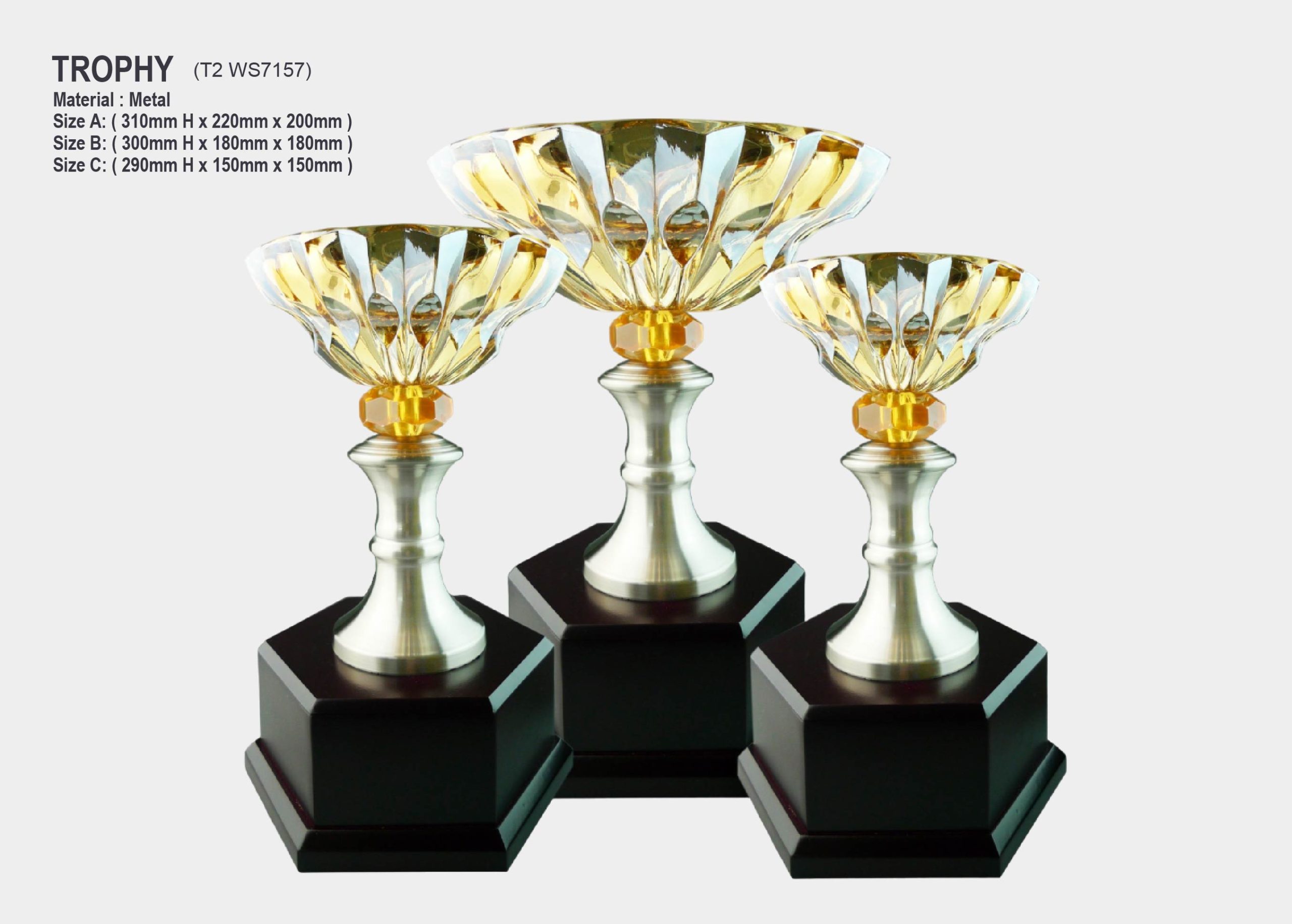 Trophy With Crystal Bowl