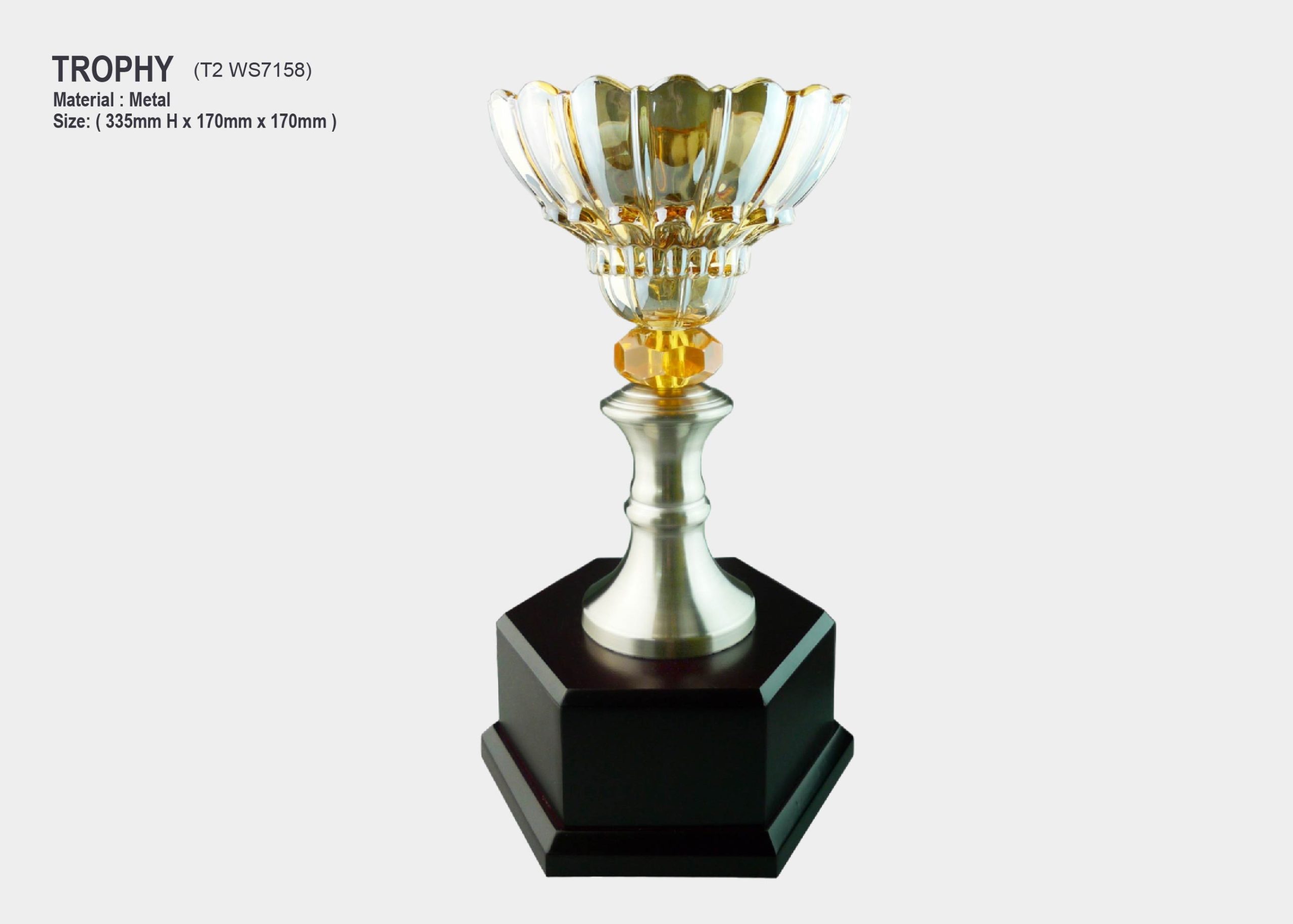 Trophy With Crystal Bowl