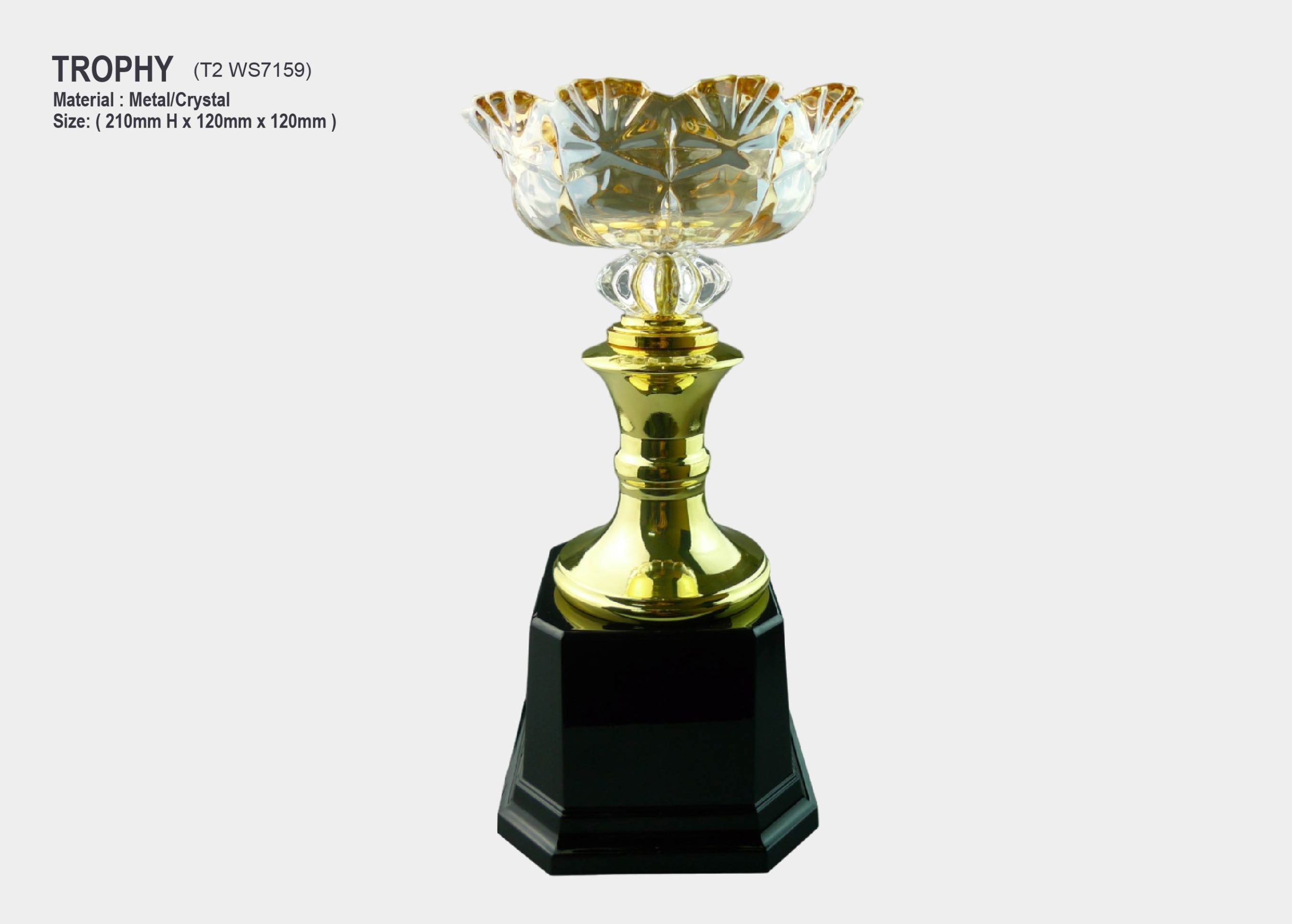 Trophy With Crystal Bowl