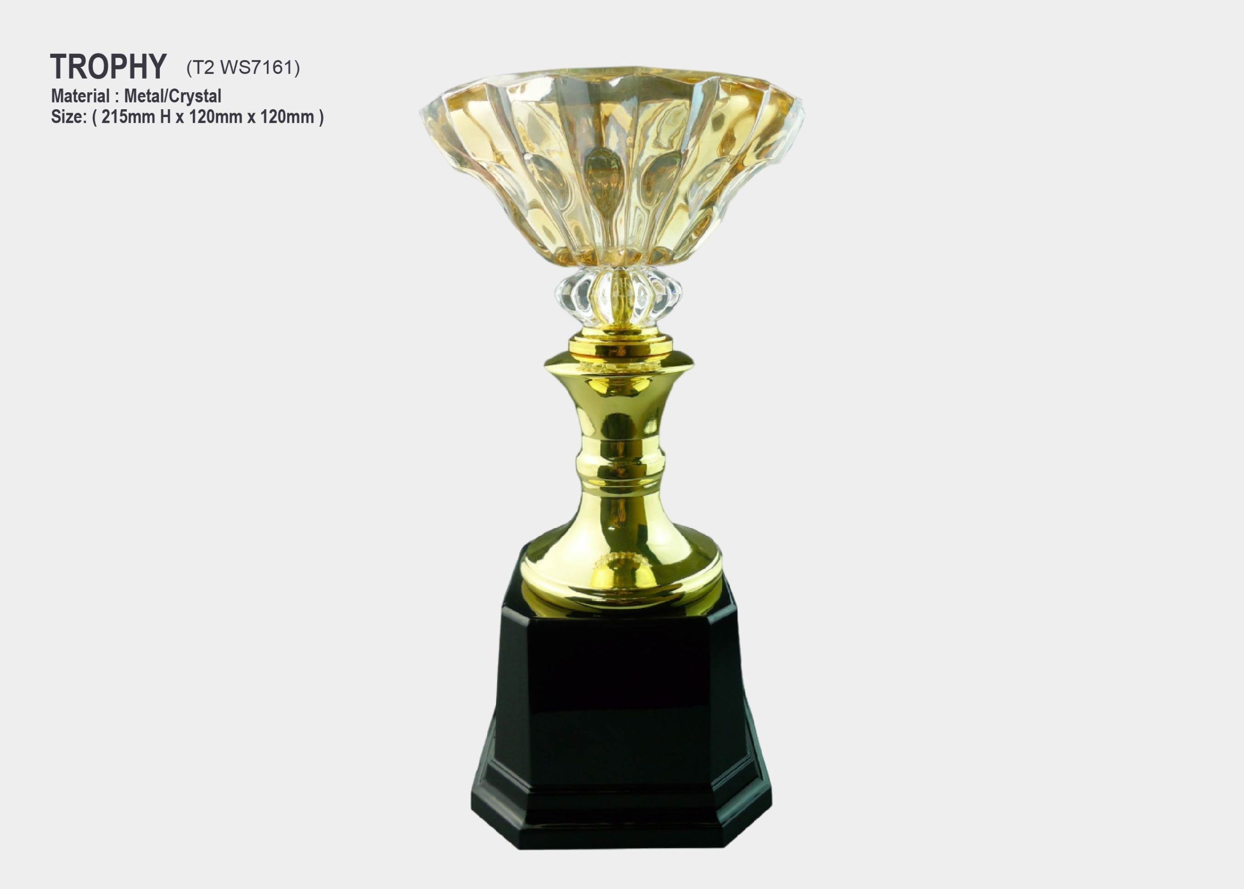 Trophy With Crystal Bowl