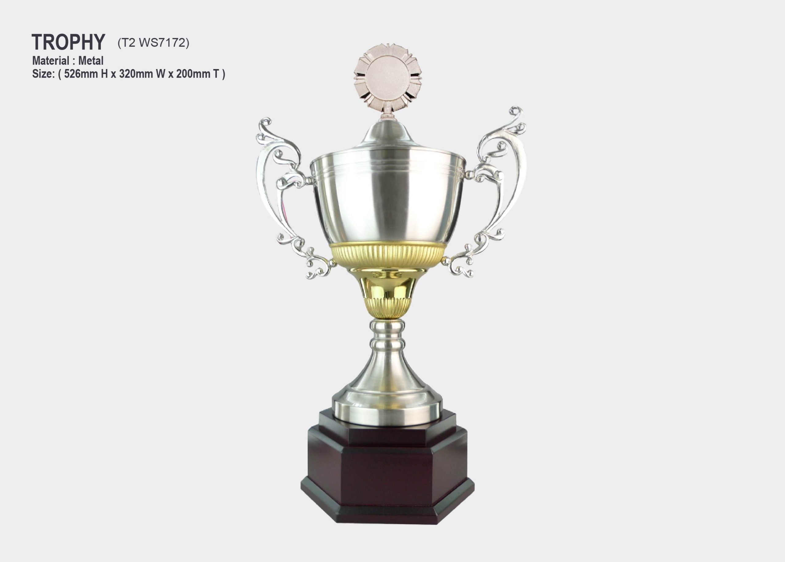 trophy silver metal