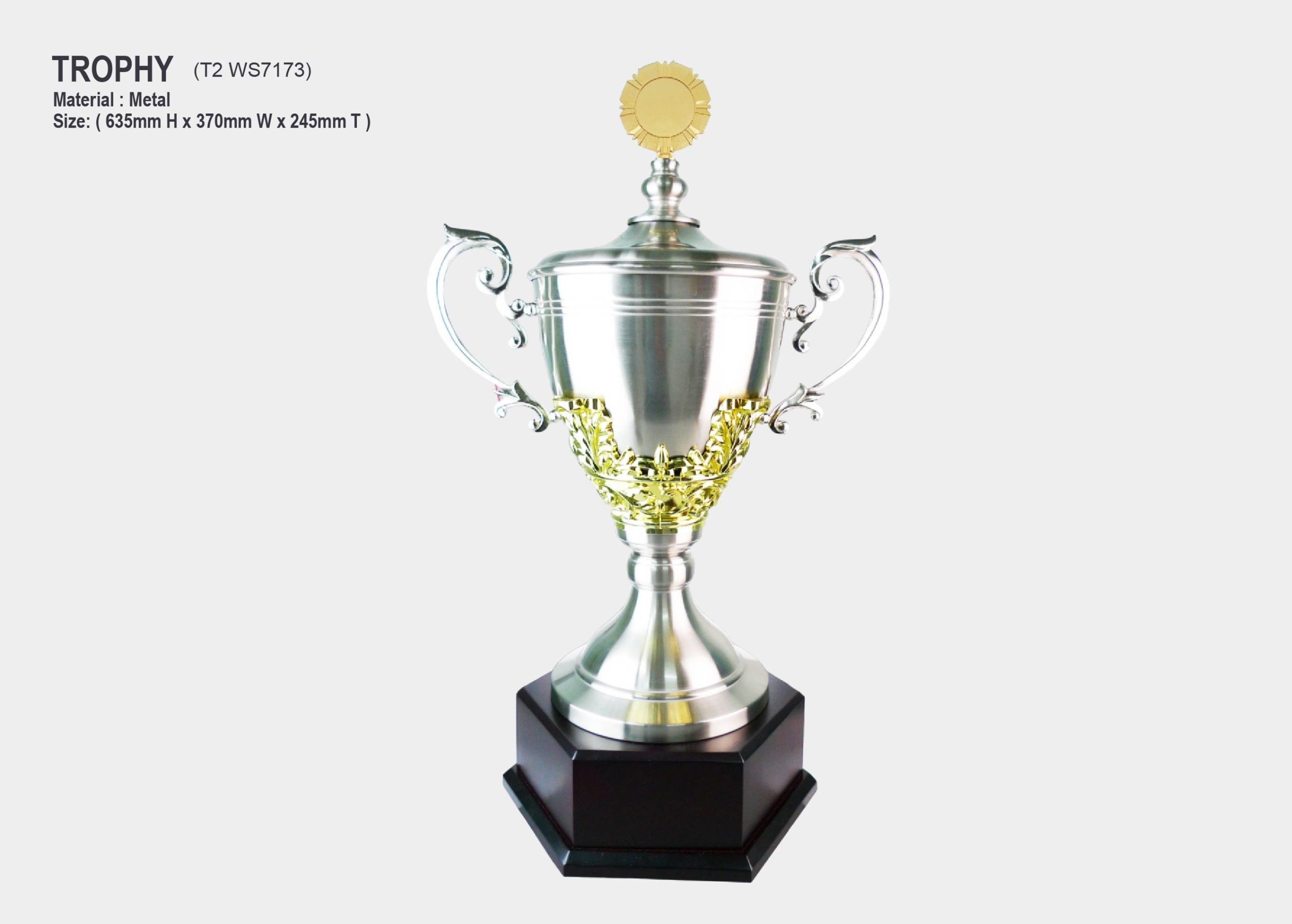 trophy silver metal