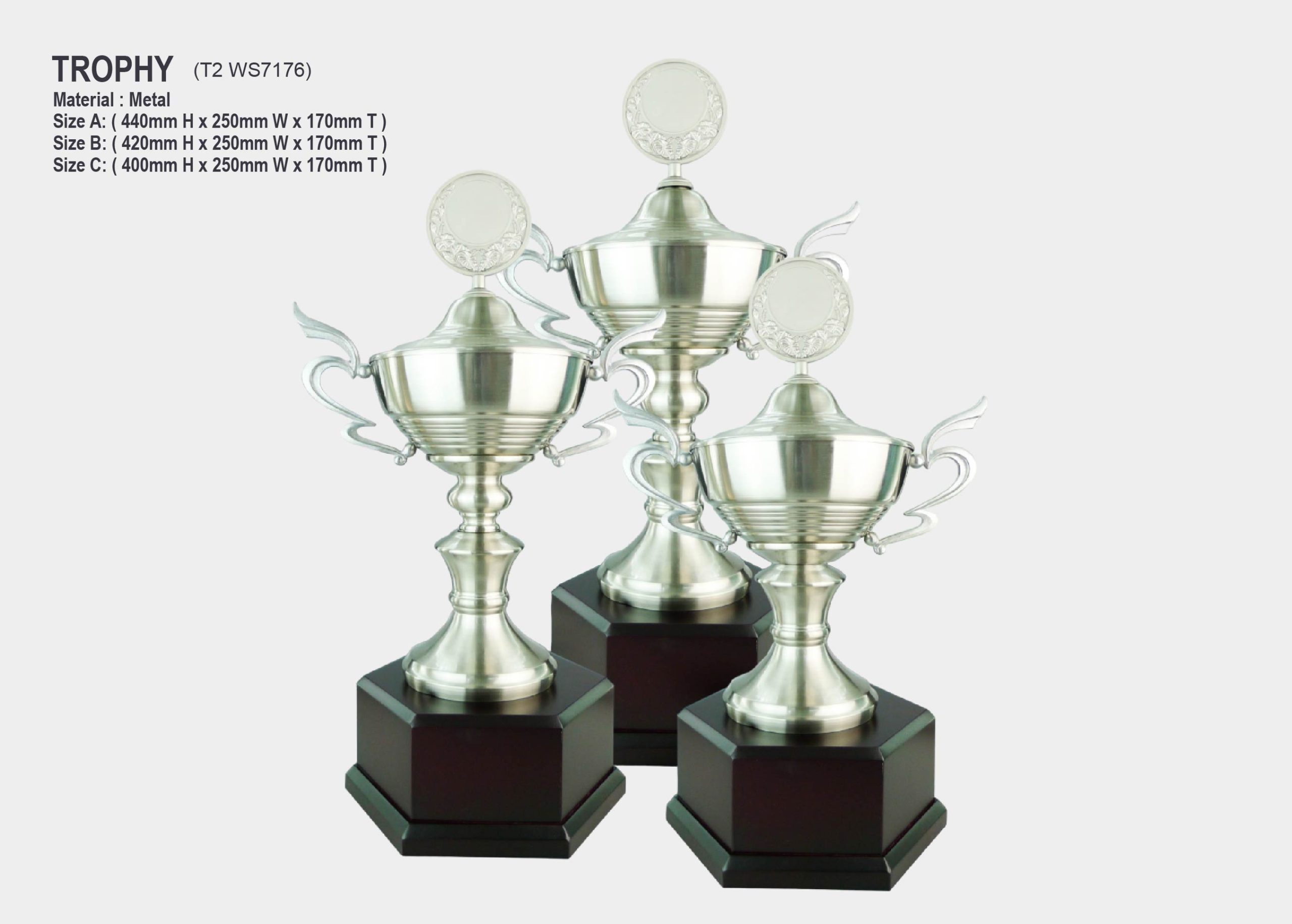 trophy silver metal