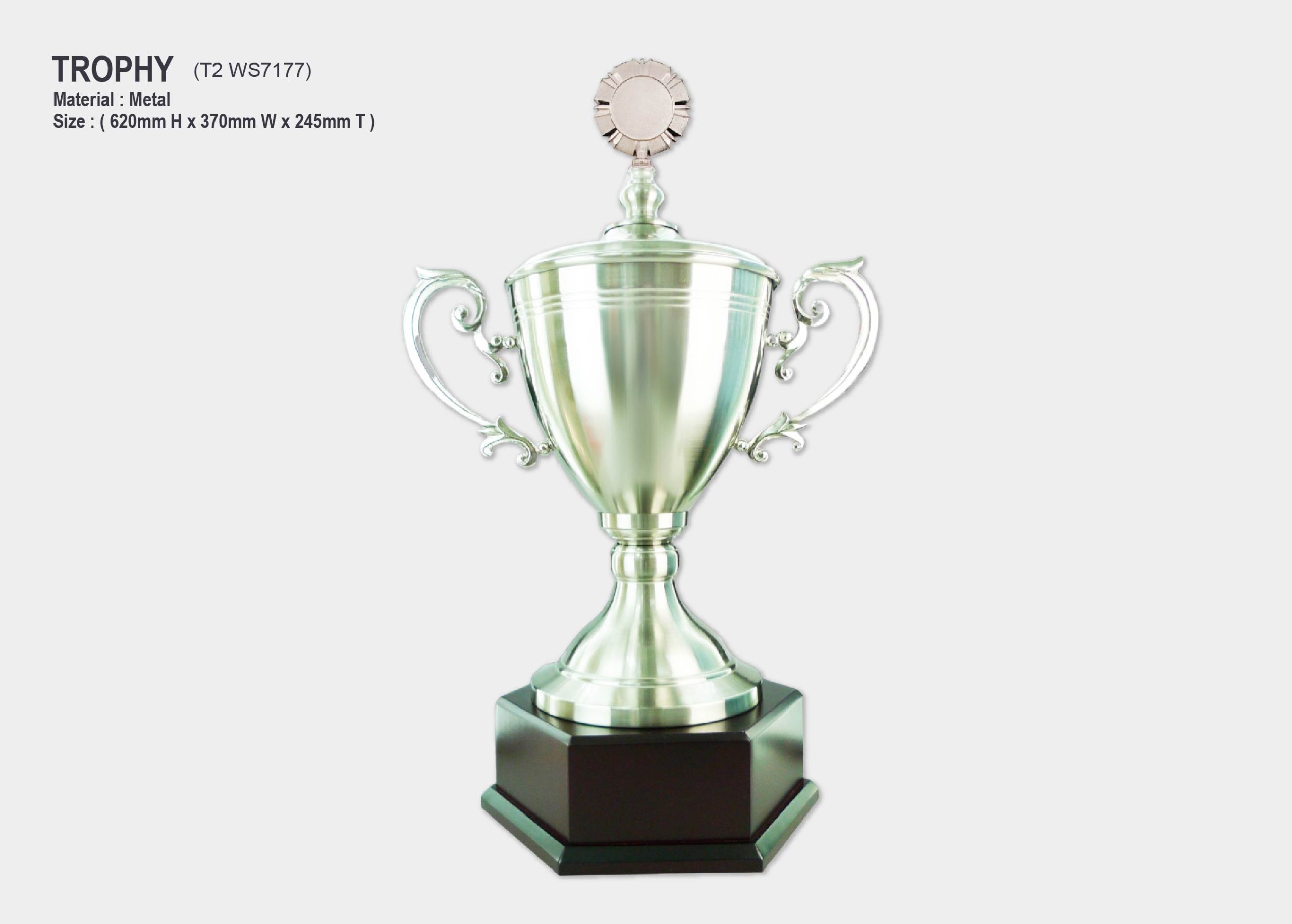 trophy silver metal