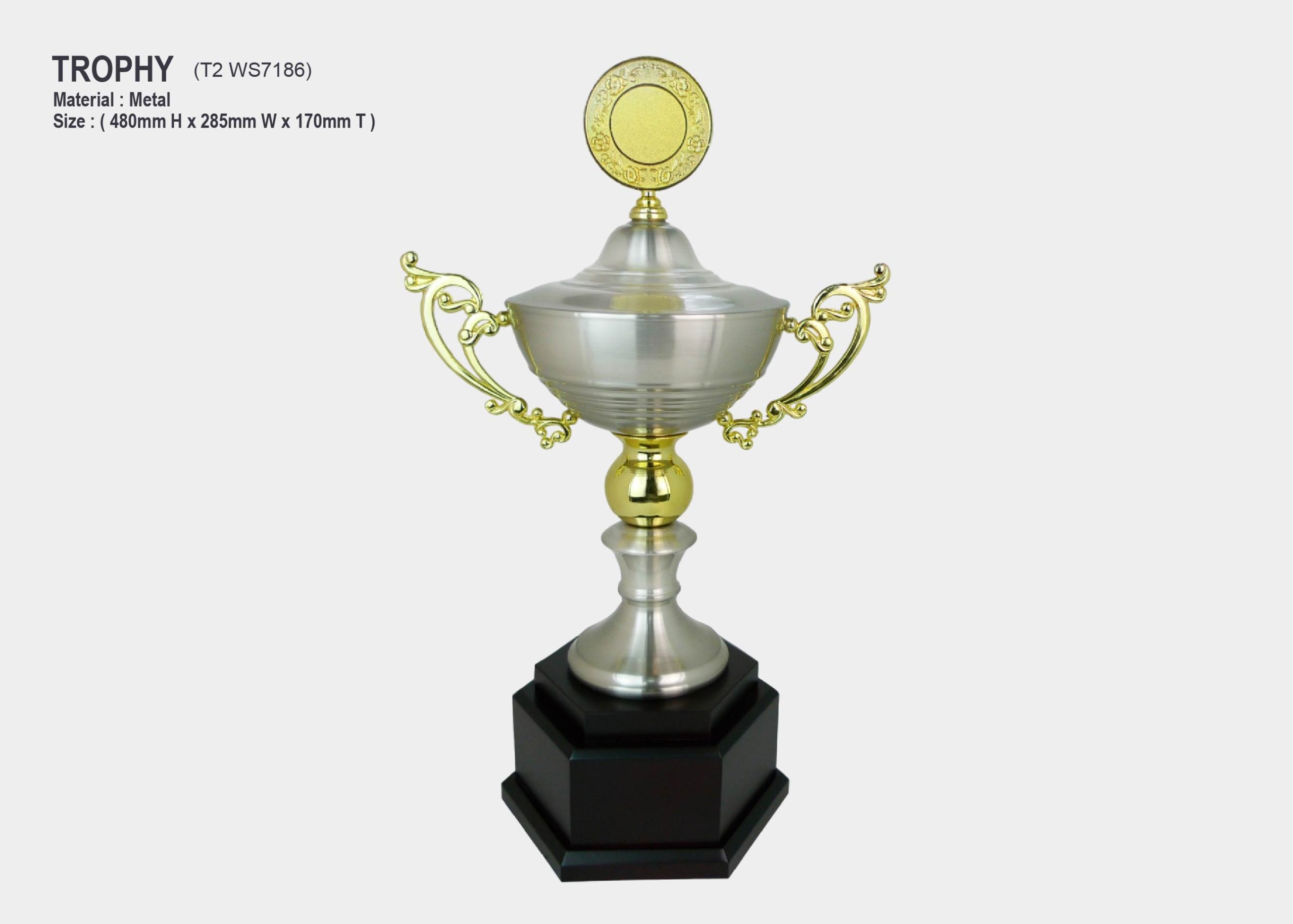 trophy silver metal