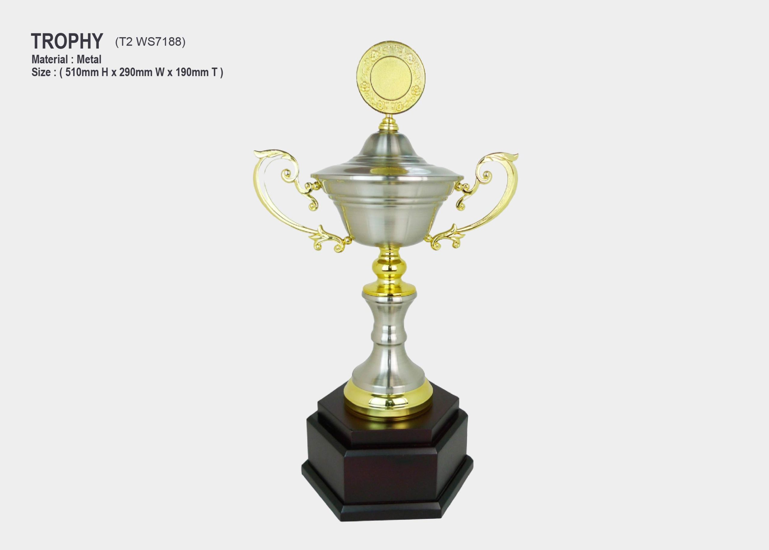 trophy silver metal