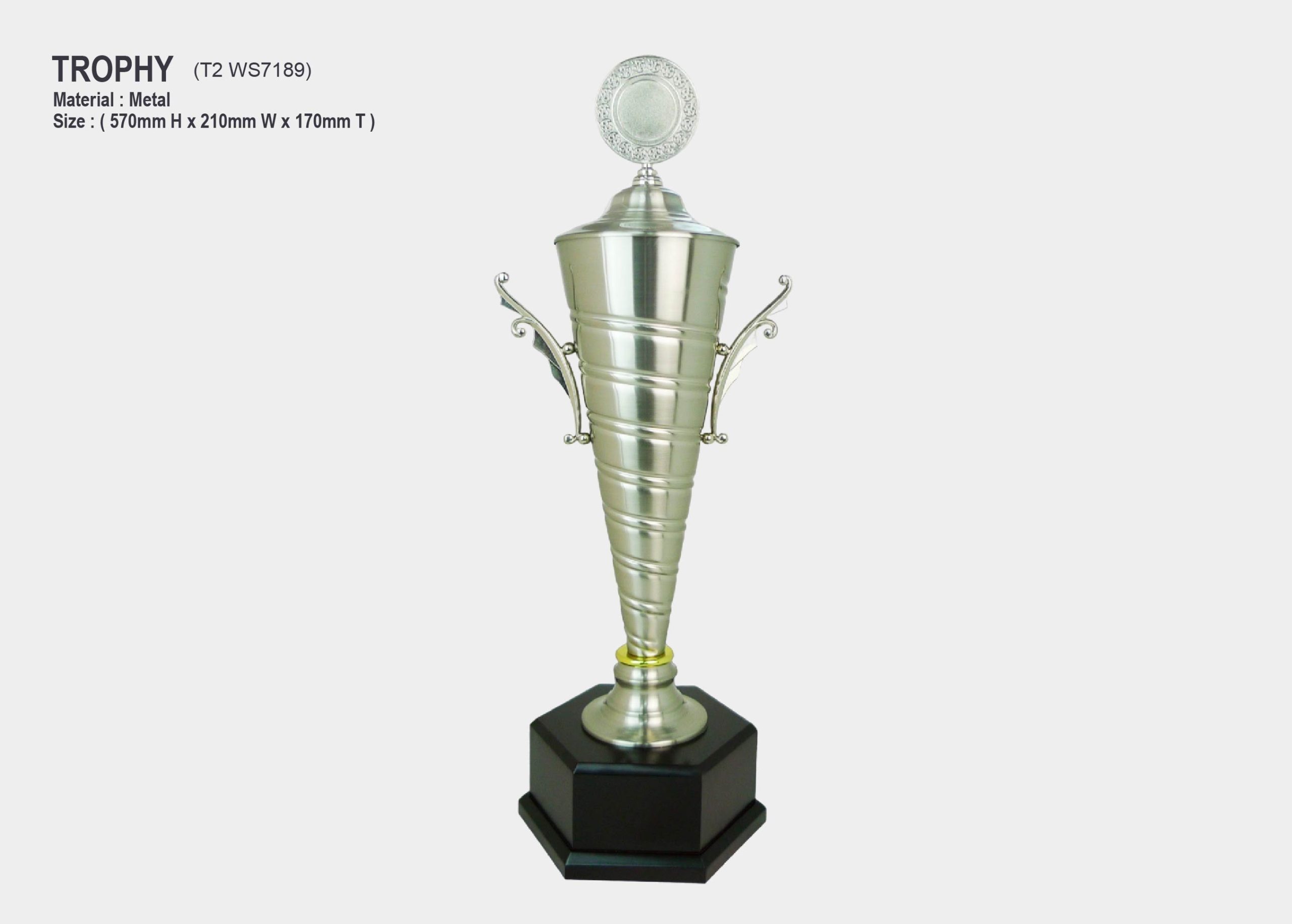 trophy silver metal