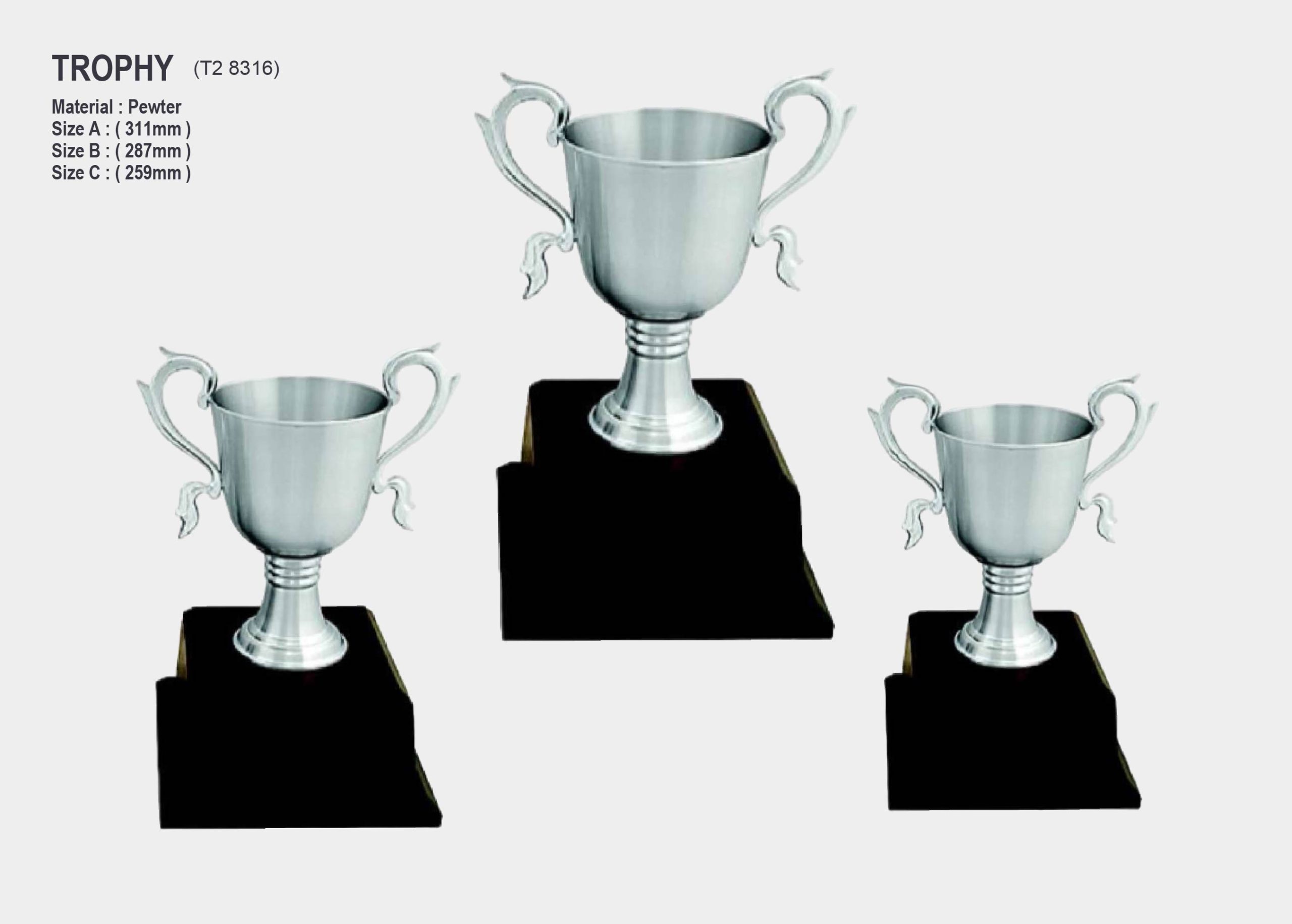 pewter trophy