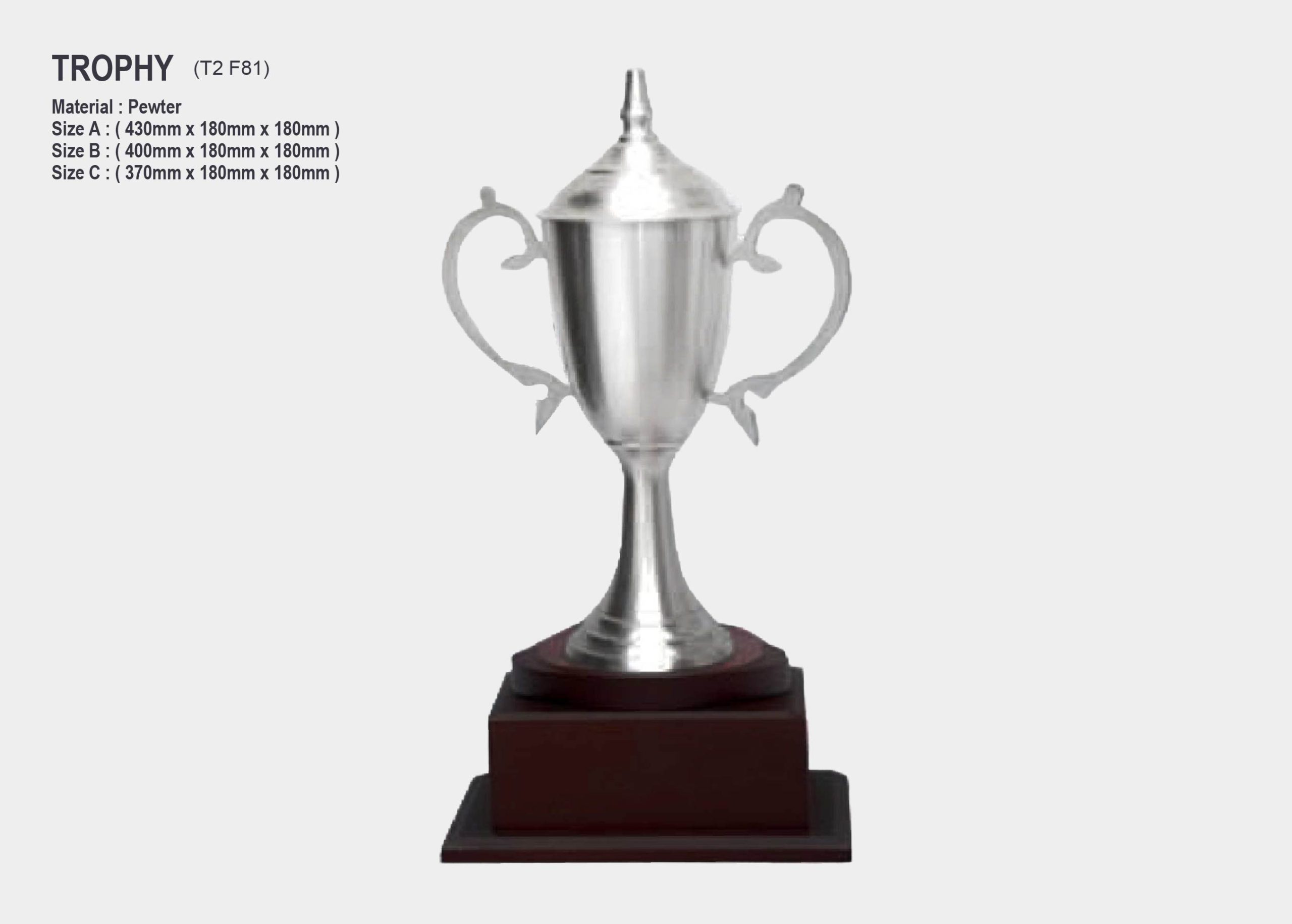 Exclusive Pewter Trophy