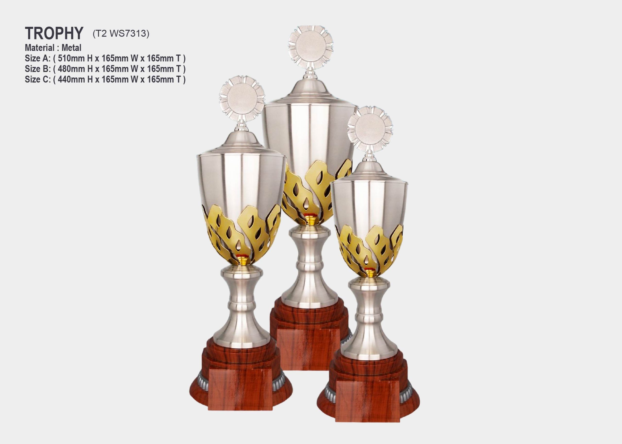 trophy awards