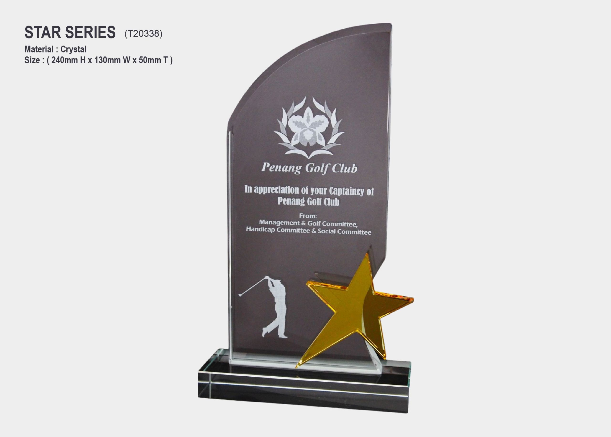 Crystal Star Award