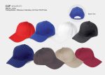 Cap-M1CAP2177