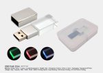 USB Flash Drive – SITCT12