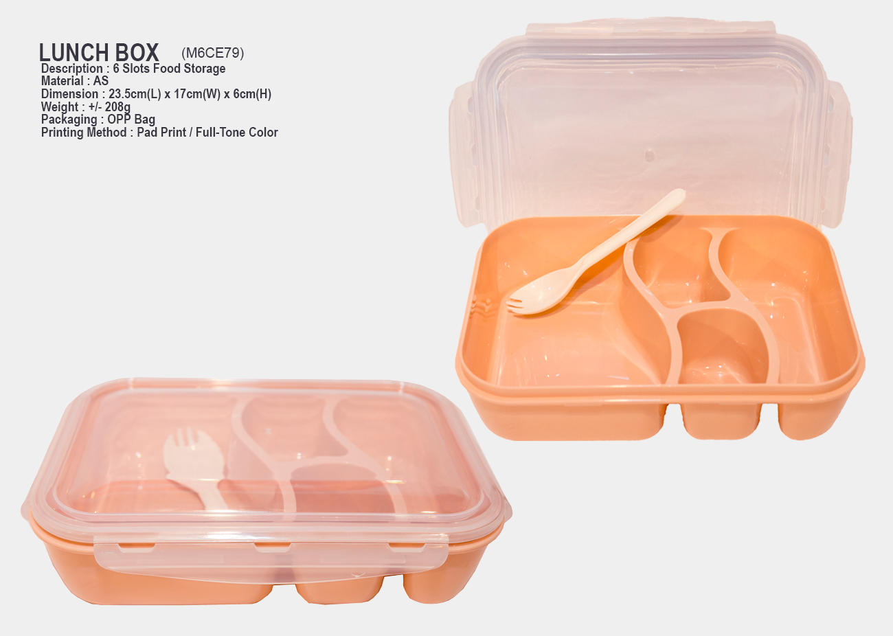 6 Slots Food Storage M6CE79<br>23.5cm(L) x 17cm(W) x 6cm(H)