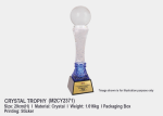 Crystal Trophy M2CY2371