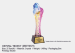 Crystal Trophy M2CY2373
