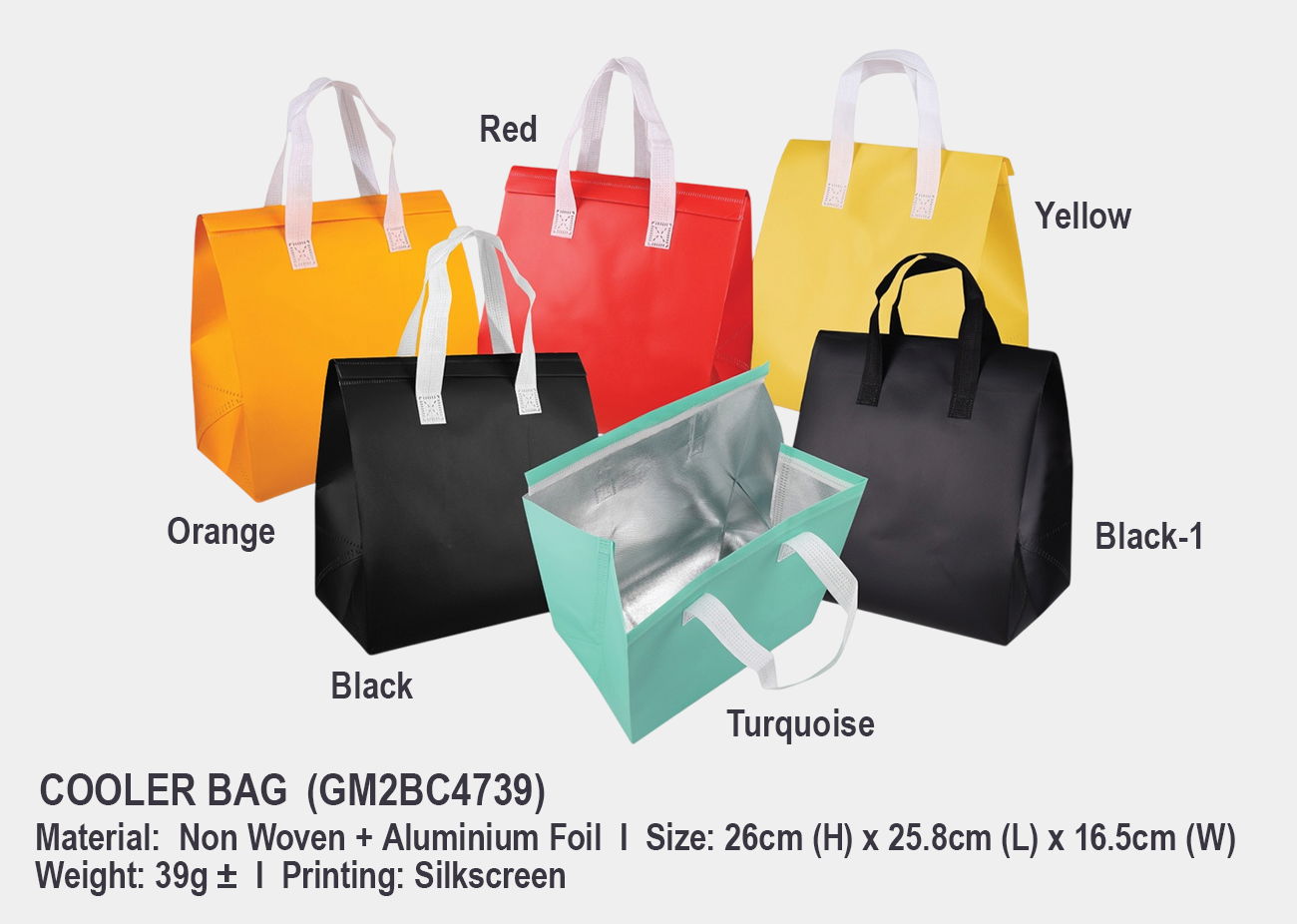 Cooler & Warmer Bag GM2BC4739 <br> 26cm (H) x 25.8cm (L) x 16.5cm (W)